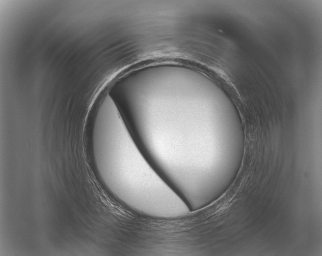 X0000058770879200509300837