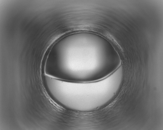 X0000058770884200509300837