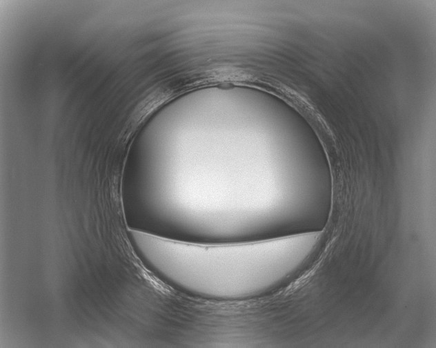 X0000058770889200509300837