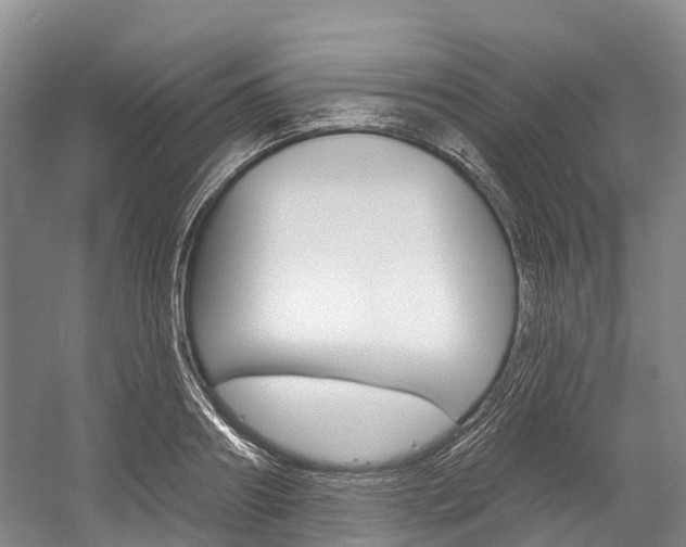 X0000058770890200509300837