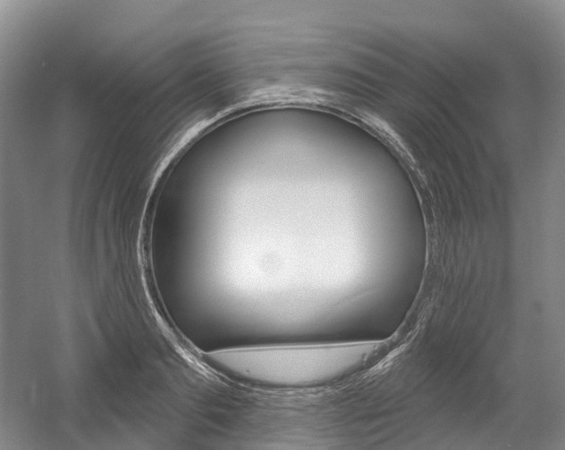 X0000058770893200509300837