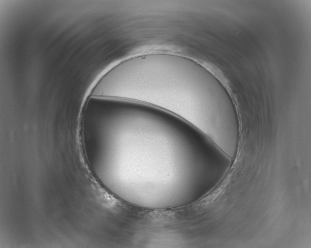 X0000058770912200509300836