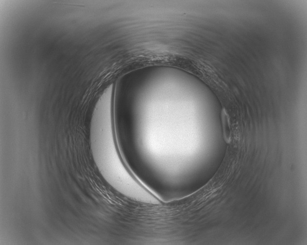 X0000058770916200509300836