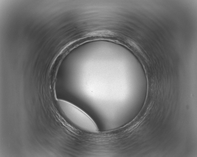 X0000058770923200509300836