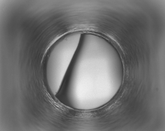 X0000058770925200509300836
