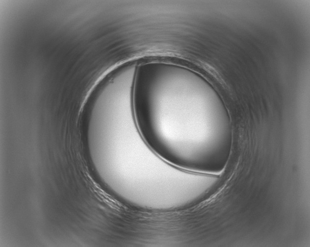 X0000058770926200509300836