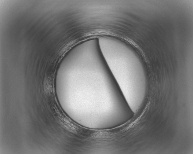 X0000058770929200509300836