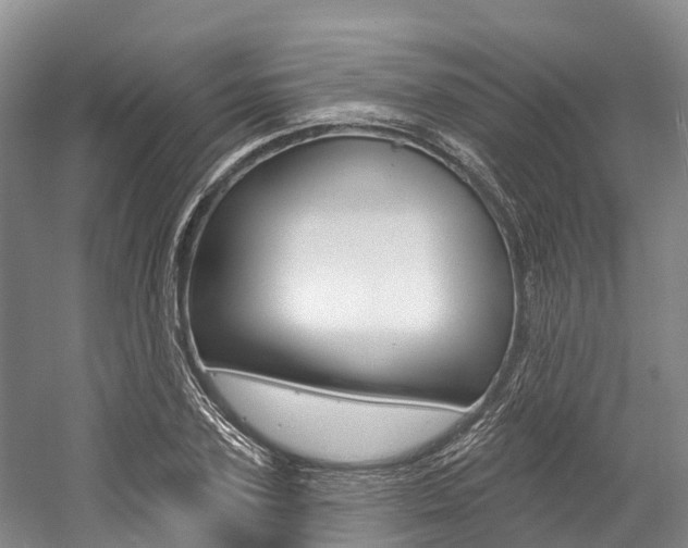 X0000058770931200509300836