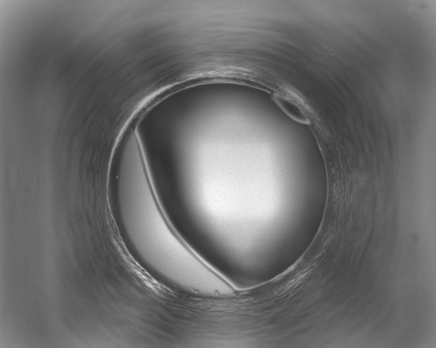 X0000058770940200509300836