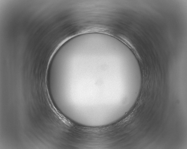 X0000058770948200509300836