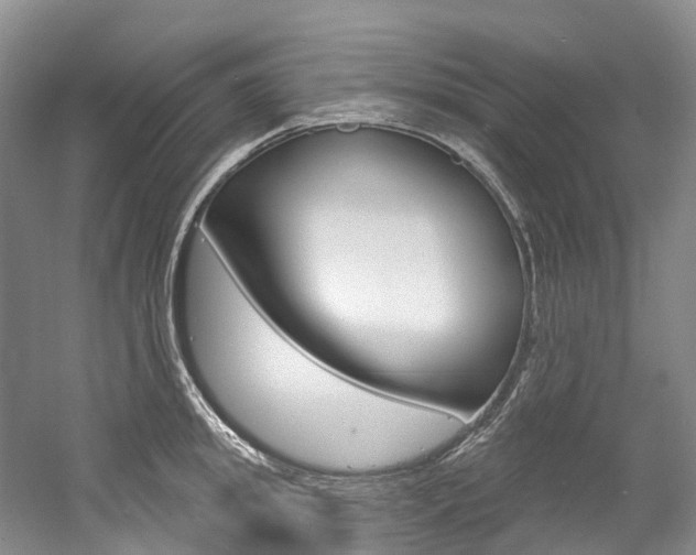 X0000058770949200509300836
