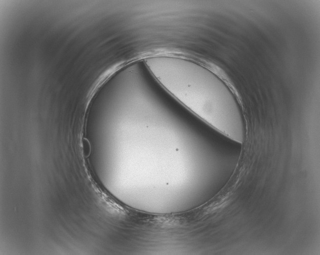 X0000058770954200509300836