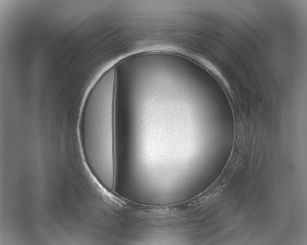 X0000058770959200509300836