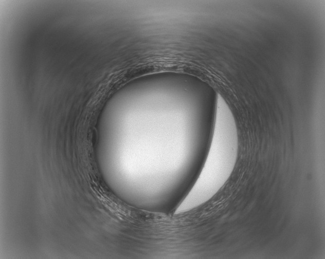 X0000058770961200509300835