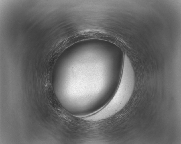 X0000058770965200509300835