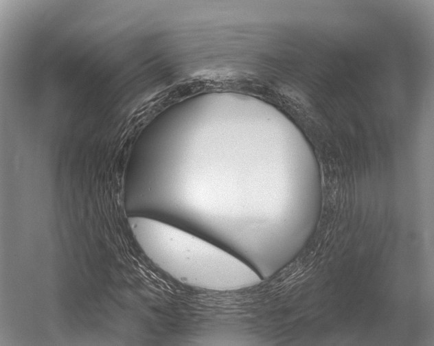 X0000058770966200509300835