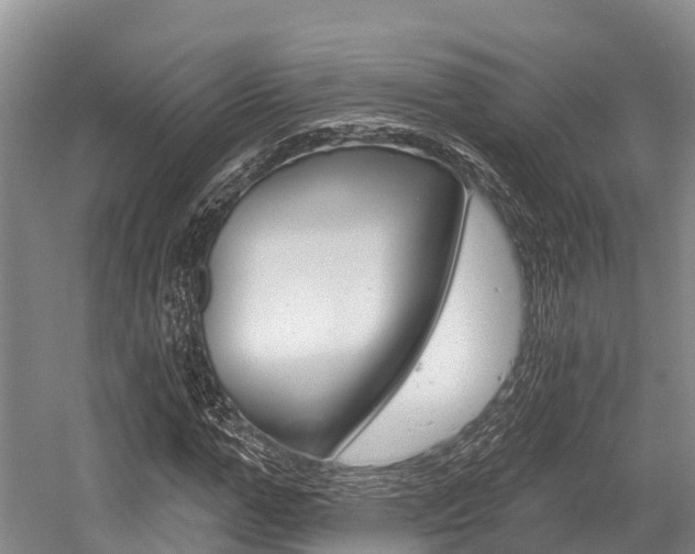 X0000058770967200509300835