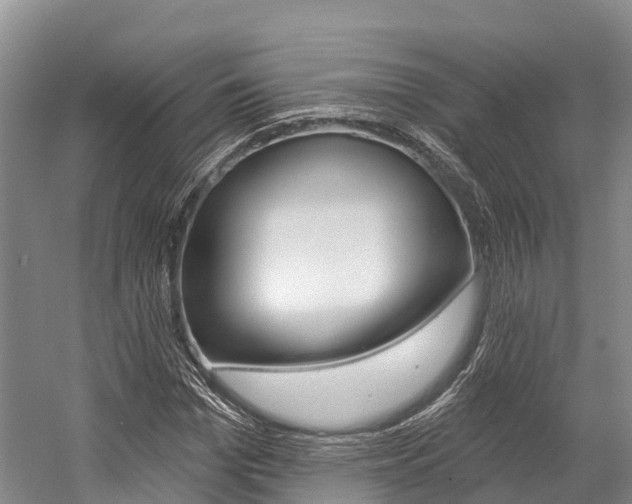 X0000058770969200509300835
