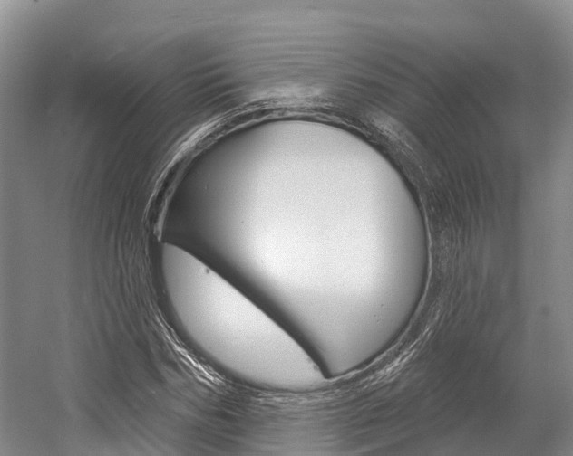 X0000058770970200509300835