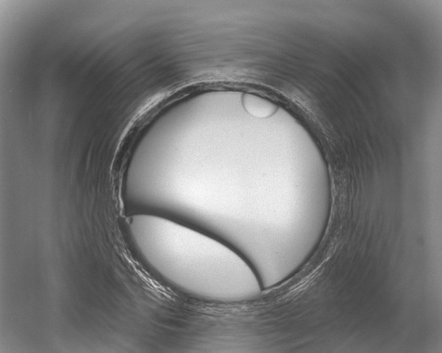 X0000058770974200509300835