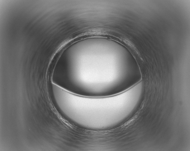X0000058770981200509300835