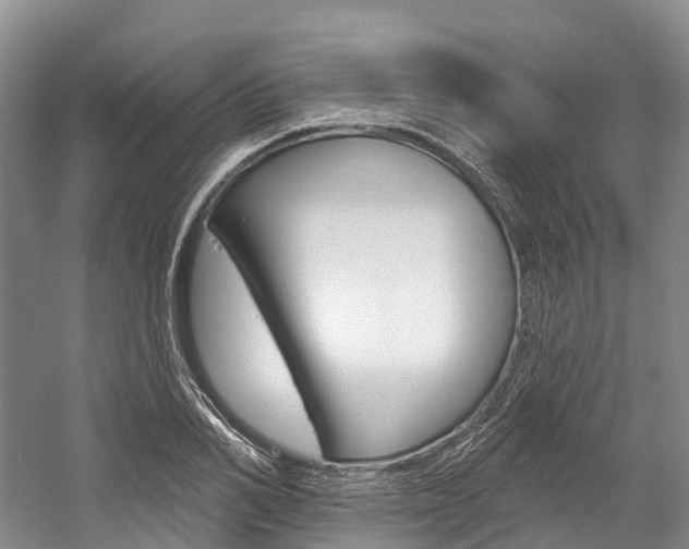 X0000058770982200509300835