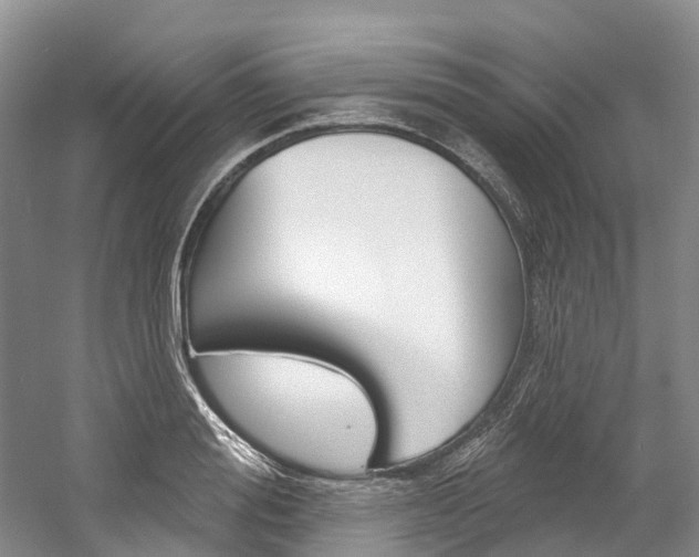 X0000058770988200509300835