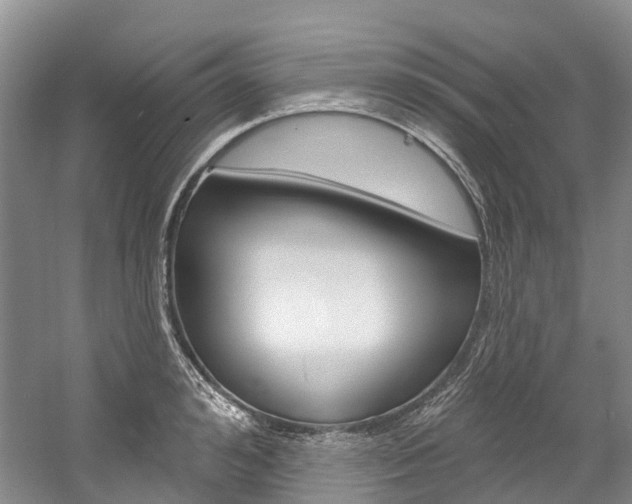 X0000058770992200509300835