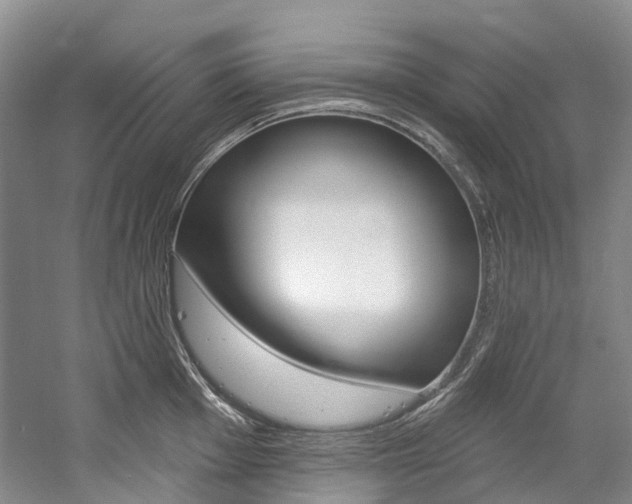 X0000058771001200509300835