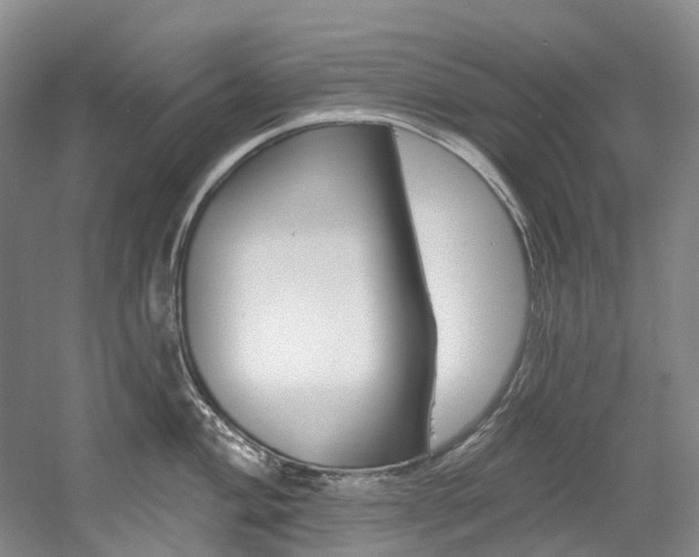 X0000058771004200509300835