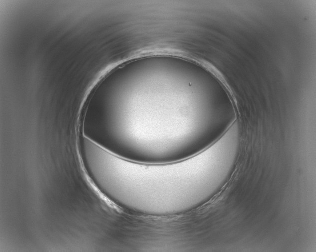 X0000058771005200509300835