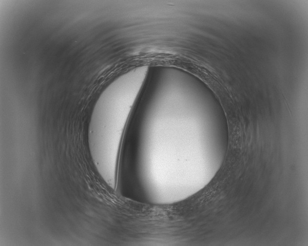 X0000058771013200509300834