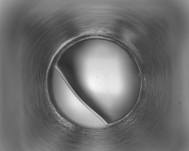 X0000058771020200509300834