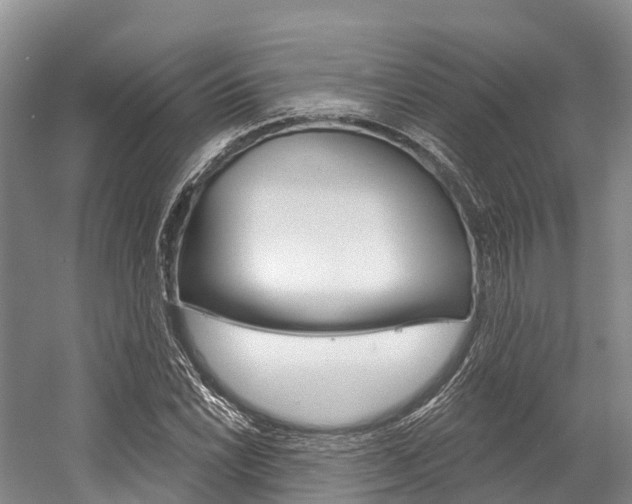 X0000058771022200509300834