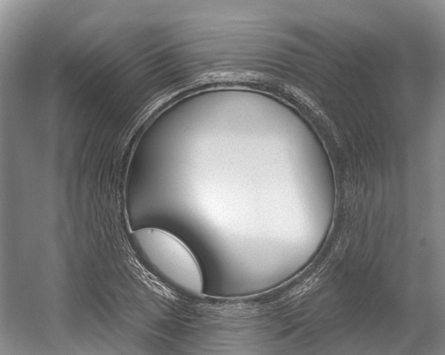 X0000058771025200509300834