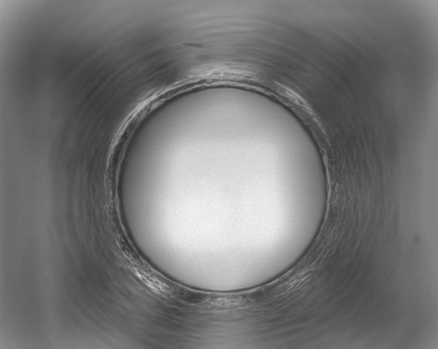X0000058771027200509300834