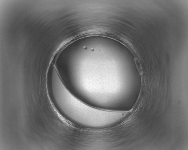 X0000058771034200509300834