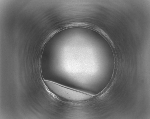 X0000058771049200509300835