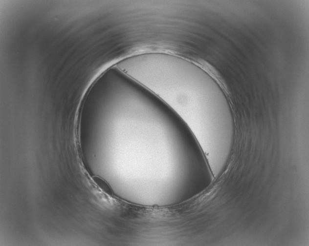 X0000058771052200509300835