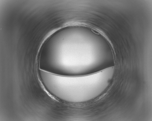 X0000058771053200509300835