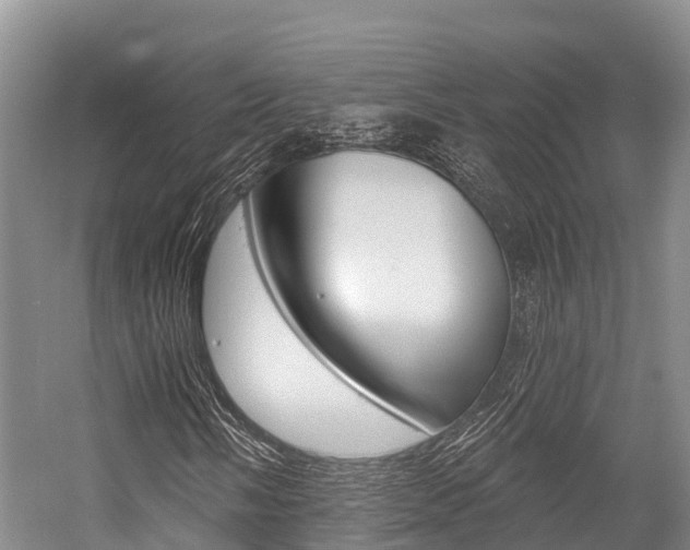 X0000058771058200509300834