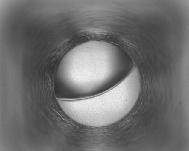 X0000058771061200509300834
