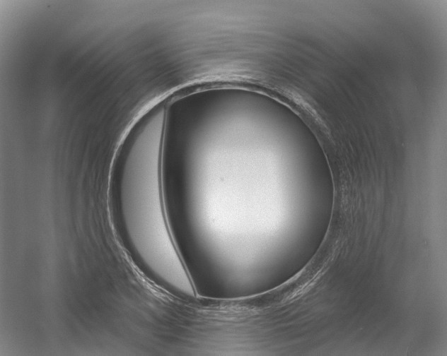X0000058771077200509300833