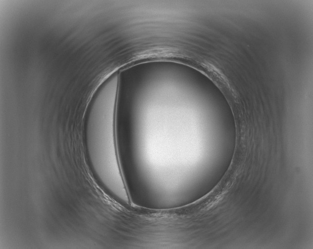 X0000058771081200509300833