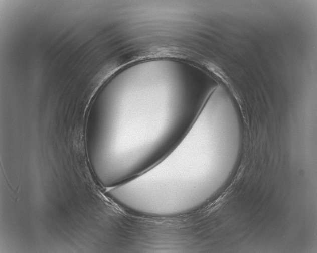 X0000058771089200509300833