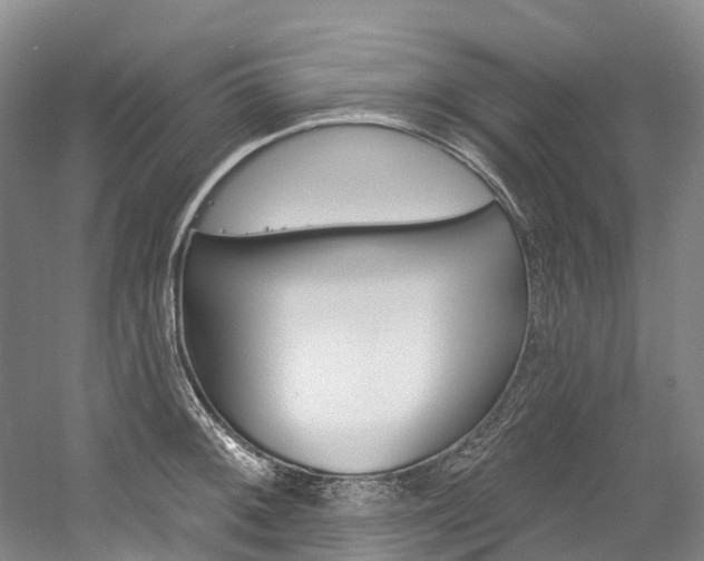 X0000058771092200509300833
