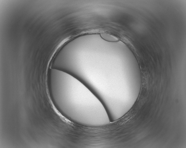 X0000058771095200509300833