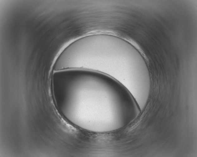 X0000058771102200509300833