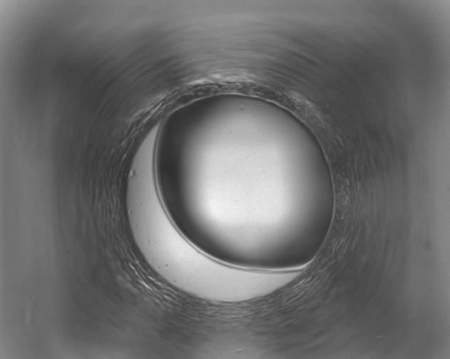 X0000058771110200509300832