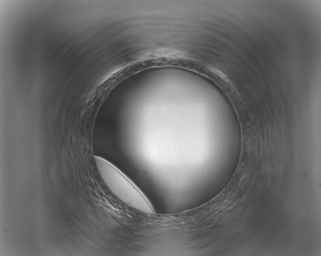 X0000058771112200509300832